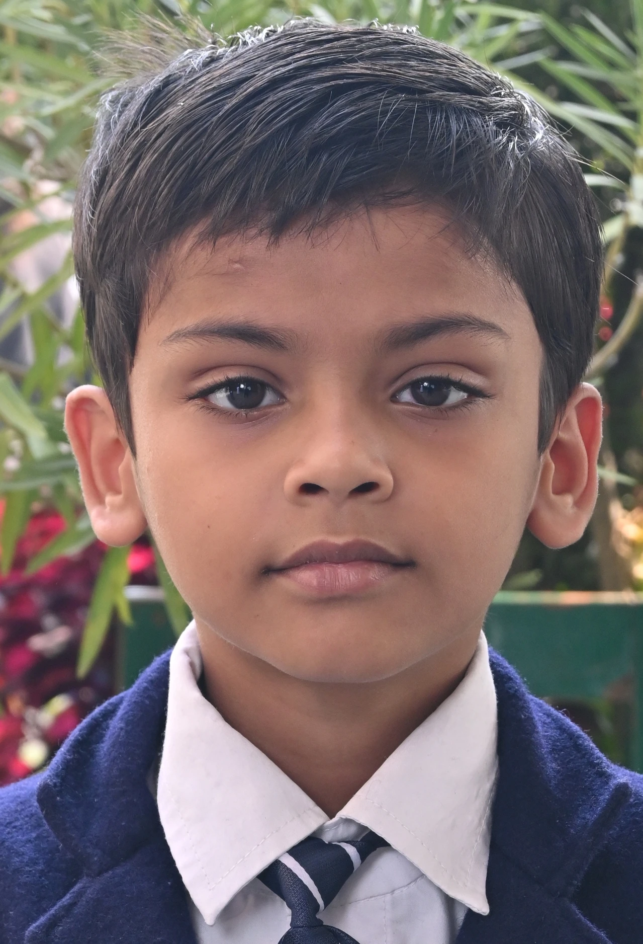 MOHAMMAD SAIF HASHAMI