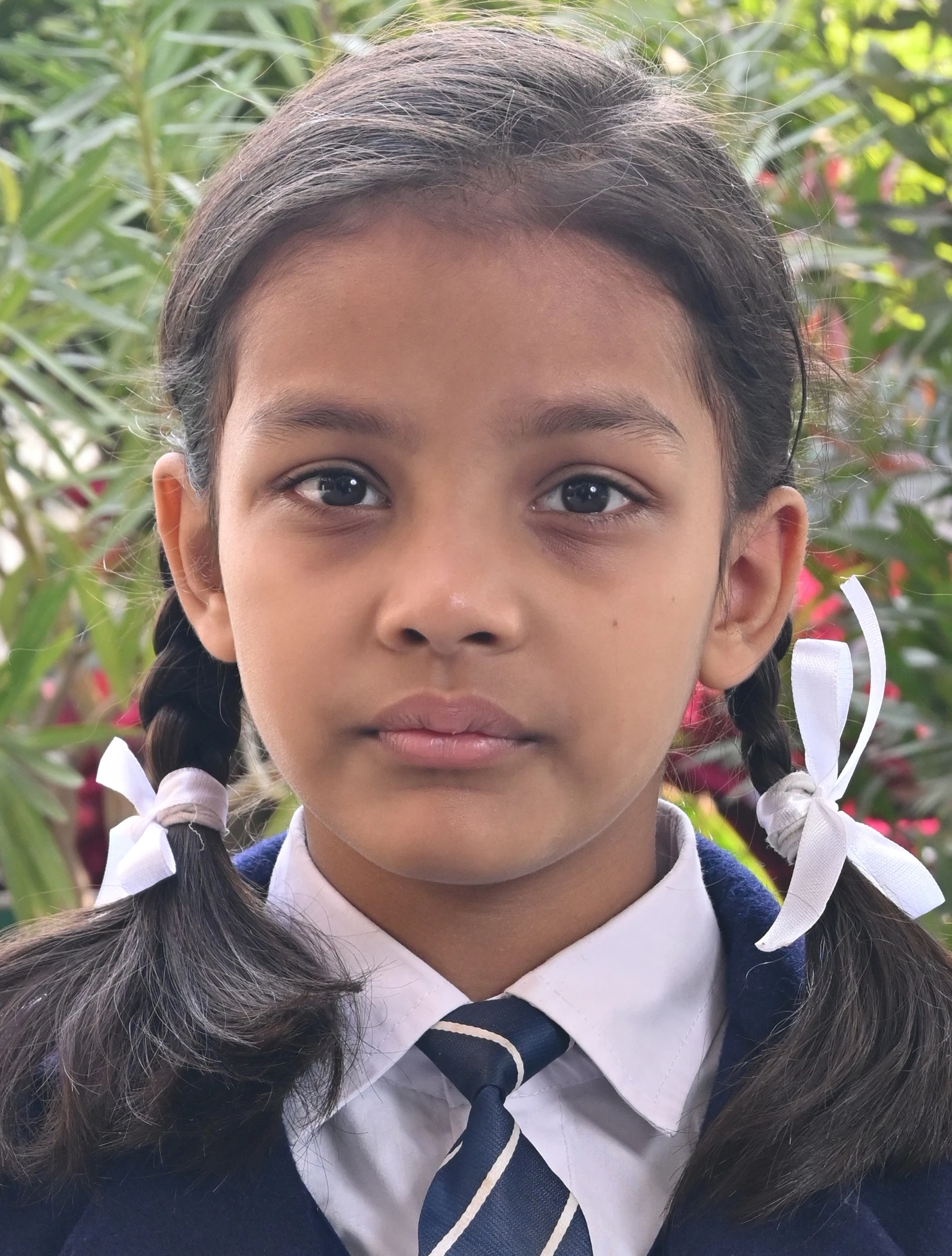 AARINI