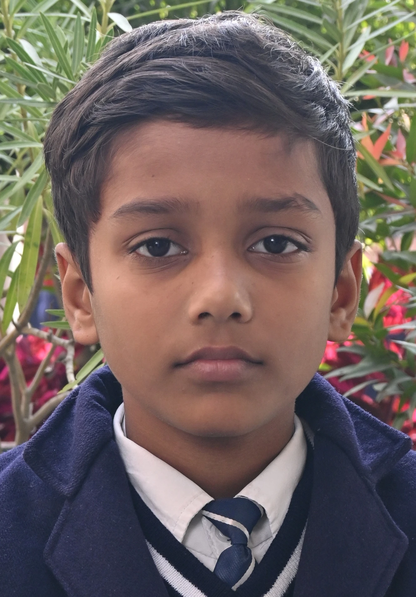 ALTMASH  AFROZ